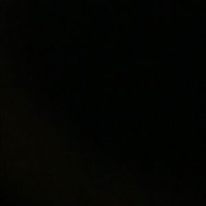 Meet your Posher, Evie